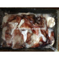 Giant squid neck peru squid neck 500g up HOT to Thailand